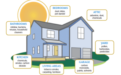 How to Improve Indoor Air Quality Solutions at Home